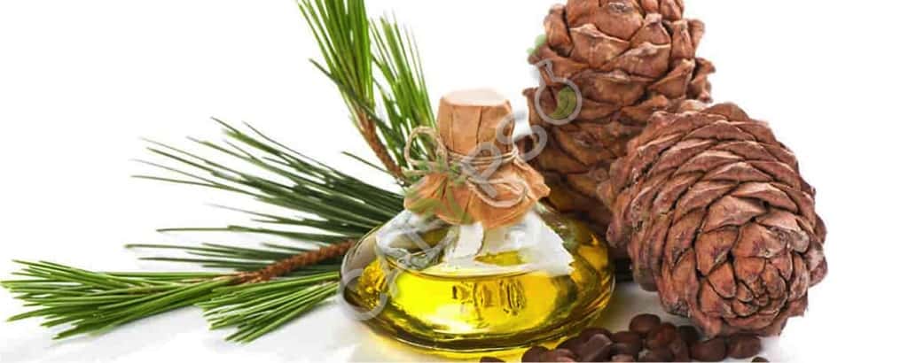 Comprar Atlas Cedar Natural Essential Oil